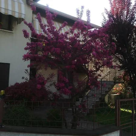 Morosini Polesella
