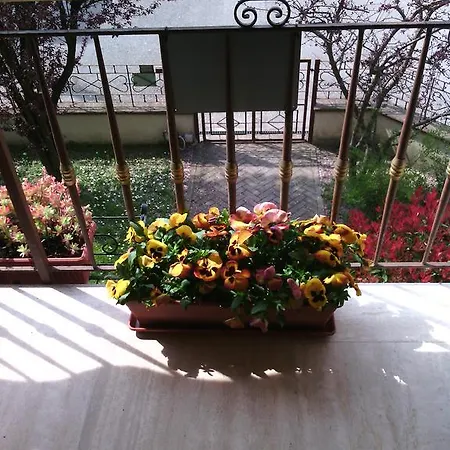 Bed and Breakfast Morosini *
