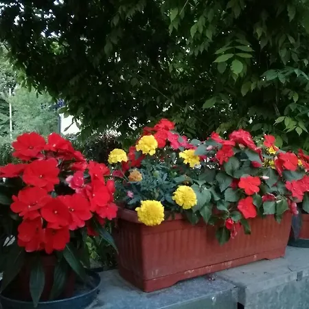 Morosini